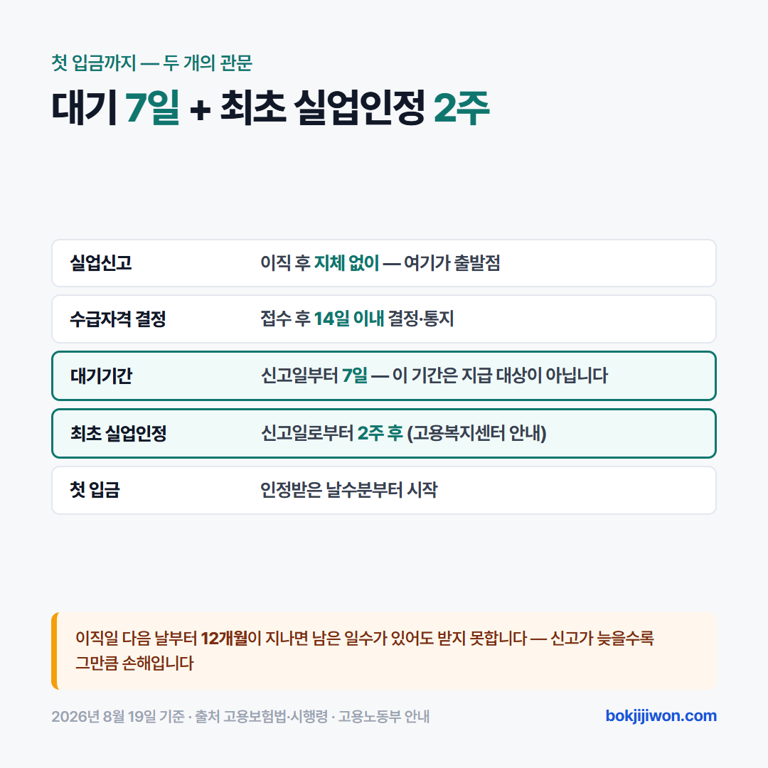 첫 입금까지의 단계를 정리한 표. 실업신고는 이직 후 지체 없이 하고, 수급자격은 접수 후 14일 이내에 결정해 통지된다. 신고일부터 7일은 대기기간이라 지급 대상이 아니고, 최초 실업인정은 고용복지센터 안내 기준 신고일로부터 2주 후다. 첫 입금은 인정받은 날수분부터 시작한다. 이직일 다음 날부터 12개월이 지나면 남은 일수가 있어도 받지 못한다. 2026년 8월 19일 기준.