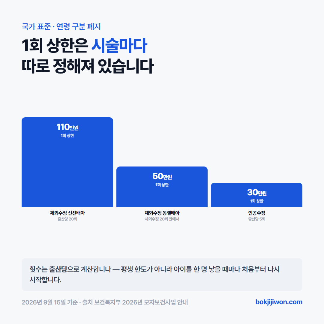 난임부부 시술비 지원의 국가 표준 횟수와 1회 상한액 - 지원 횟수는 출산당으로 계산하며 체외수정은 20회 인공수정은 5회까지이고 1회 상한액은 체외수정 신선배아 110만원 동결배아 50만원 인공수정 30만원이며 나이에 따른 금액 구분은 폐지됐다