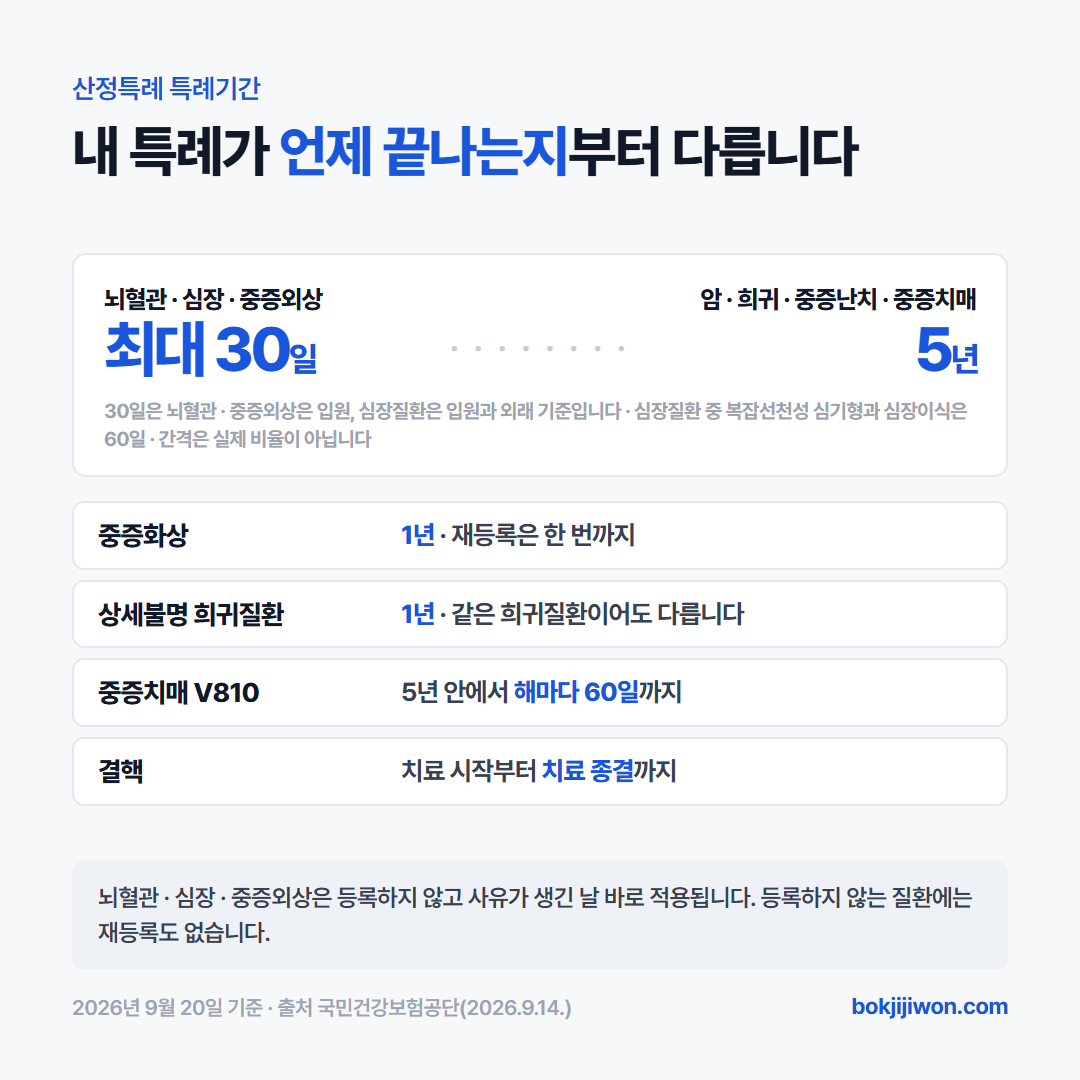 산정특례 질환별 특례기간과 본인부담률 — 암 5년 5%, 희귀·중증난치 5년 10%, 뇌혈관·심장 최대 30일, 중증화상 1년